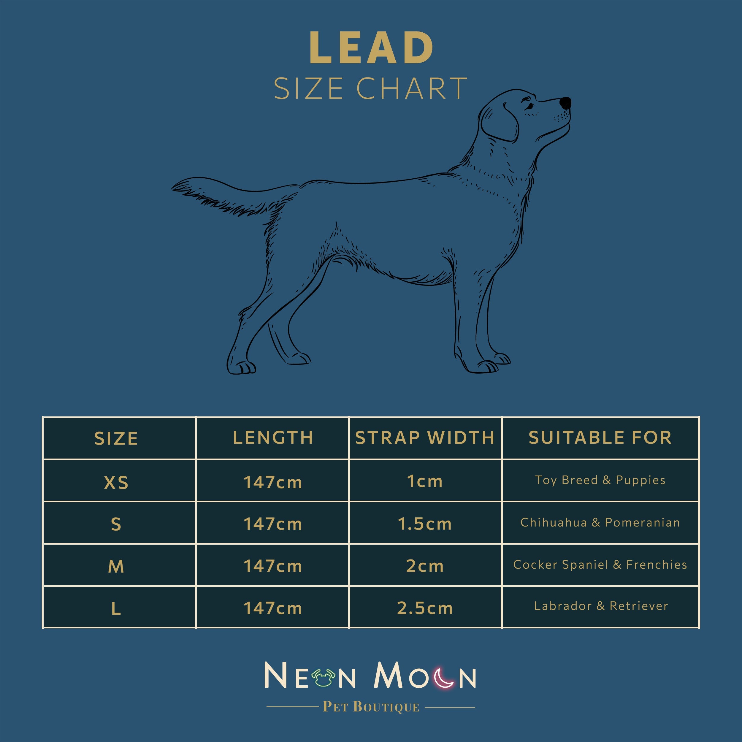 The Luna Lead