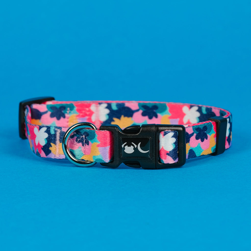 The Luna Dog Collar