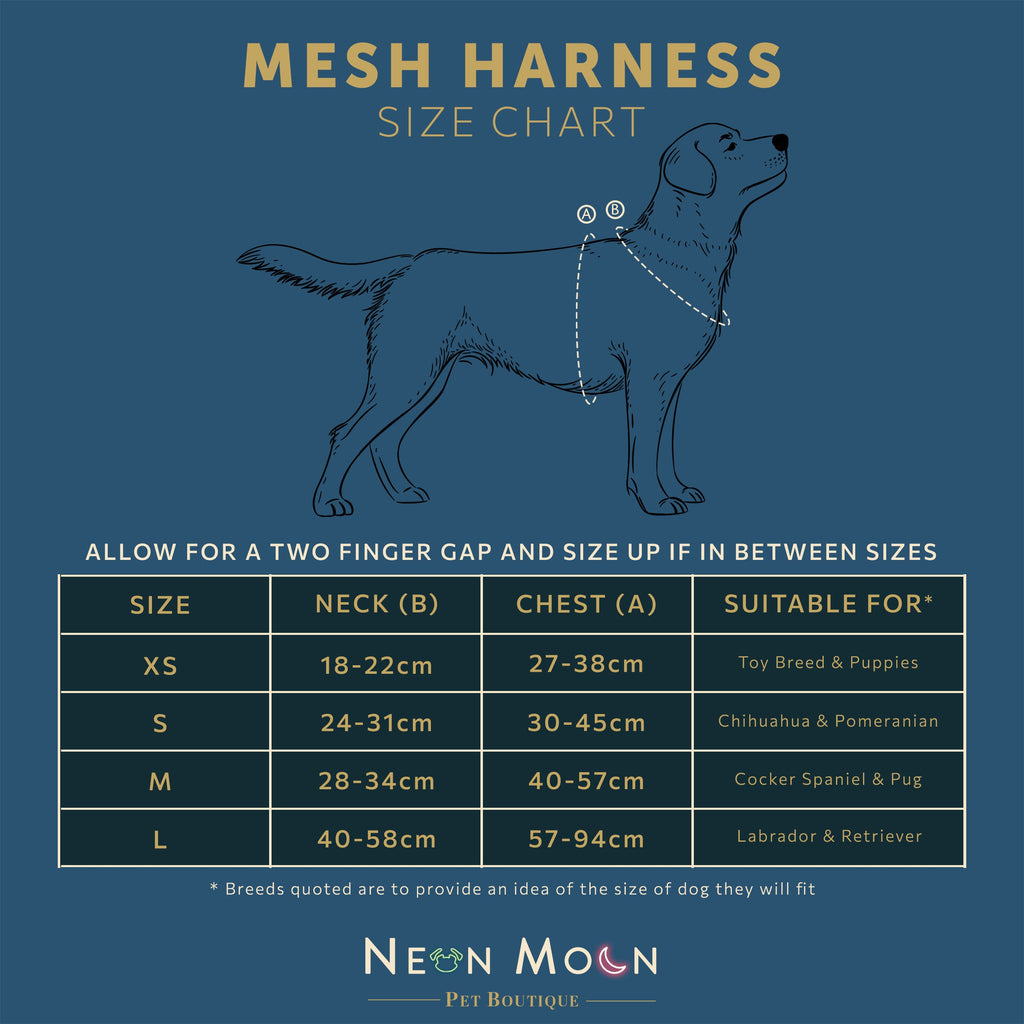 The Minnie Mesh Harness