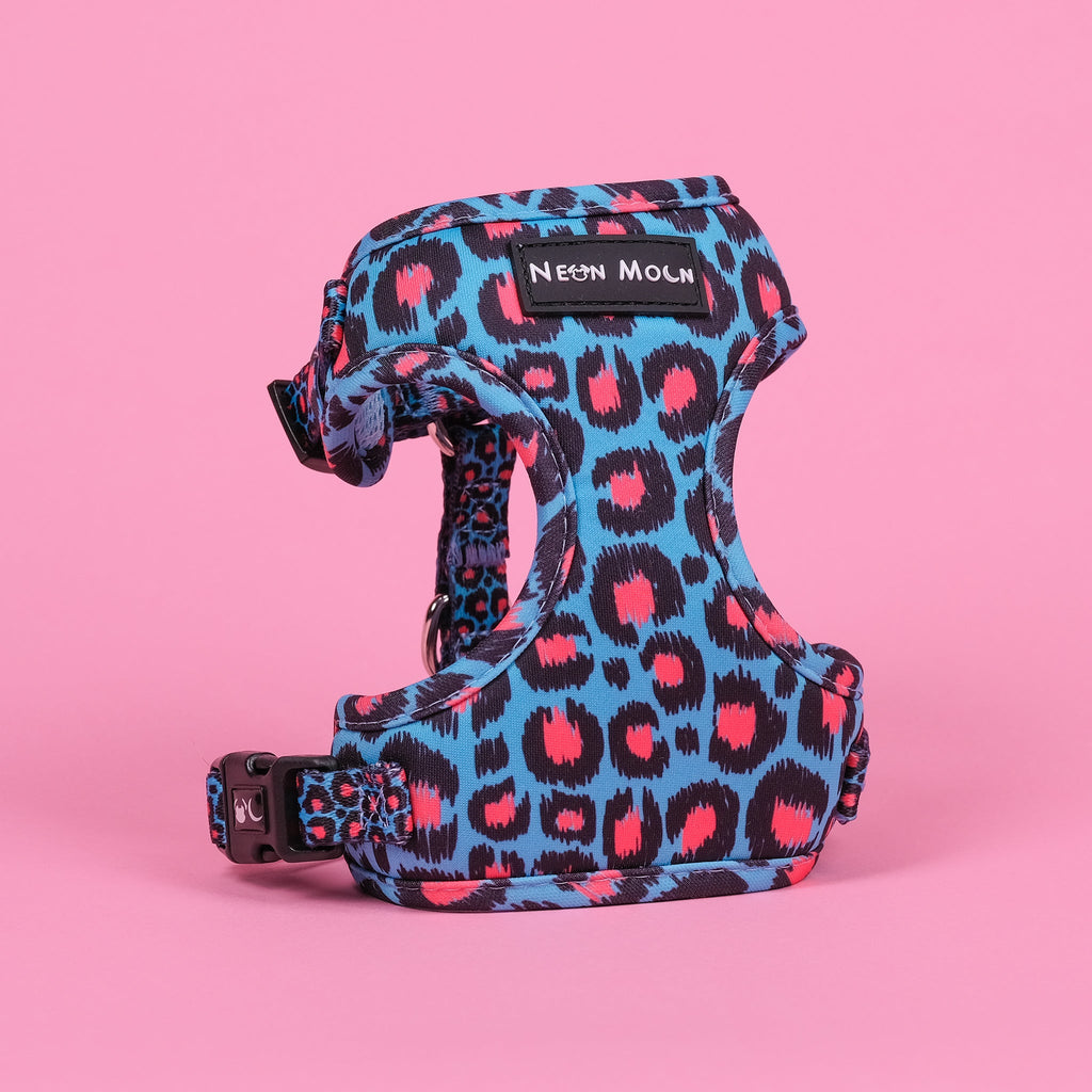 The Willow Mesh Harness